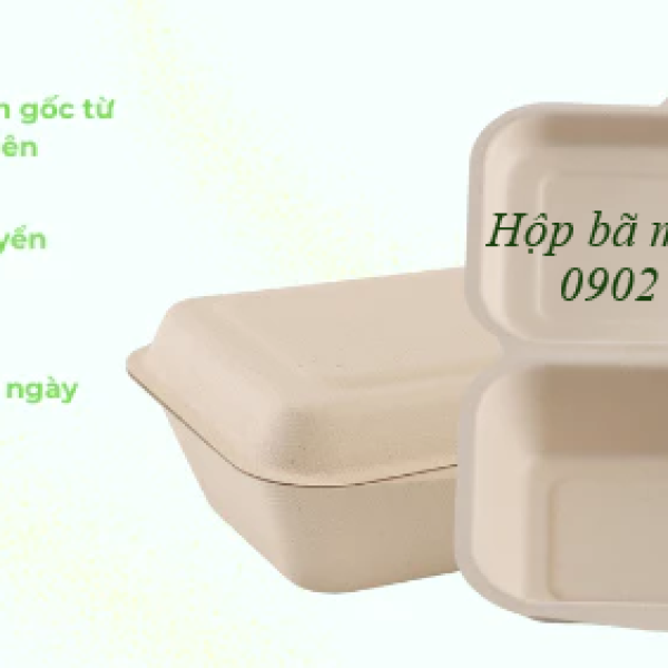 Hộp bã mía 1 ngăn nắp liền 450ml